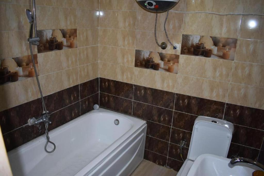 Guest house Pyramids 3*