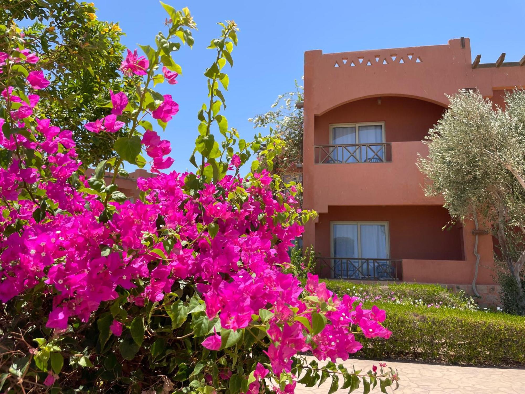 Soulotel Emerald & Marsa Alam