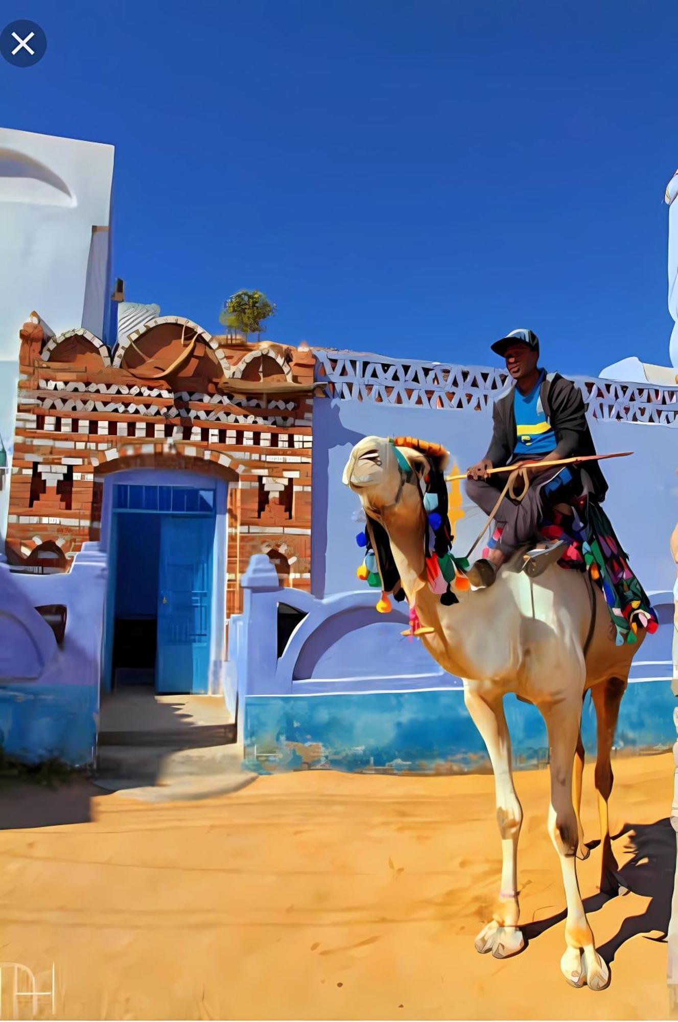 Hotel Nile Cruise Net Every Monday From 4 Nights & Every Friday From Aswan 3 Nights 5*