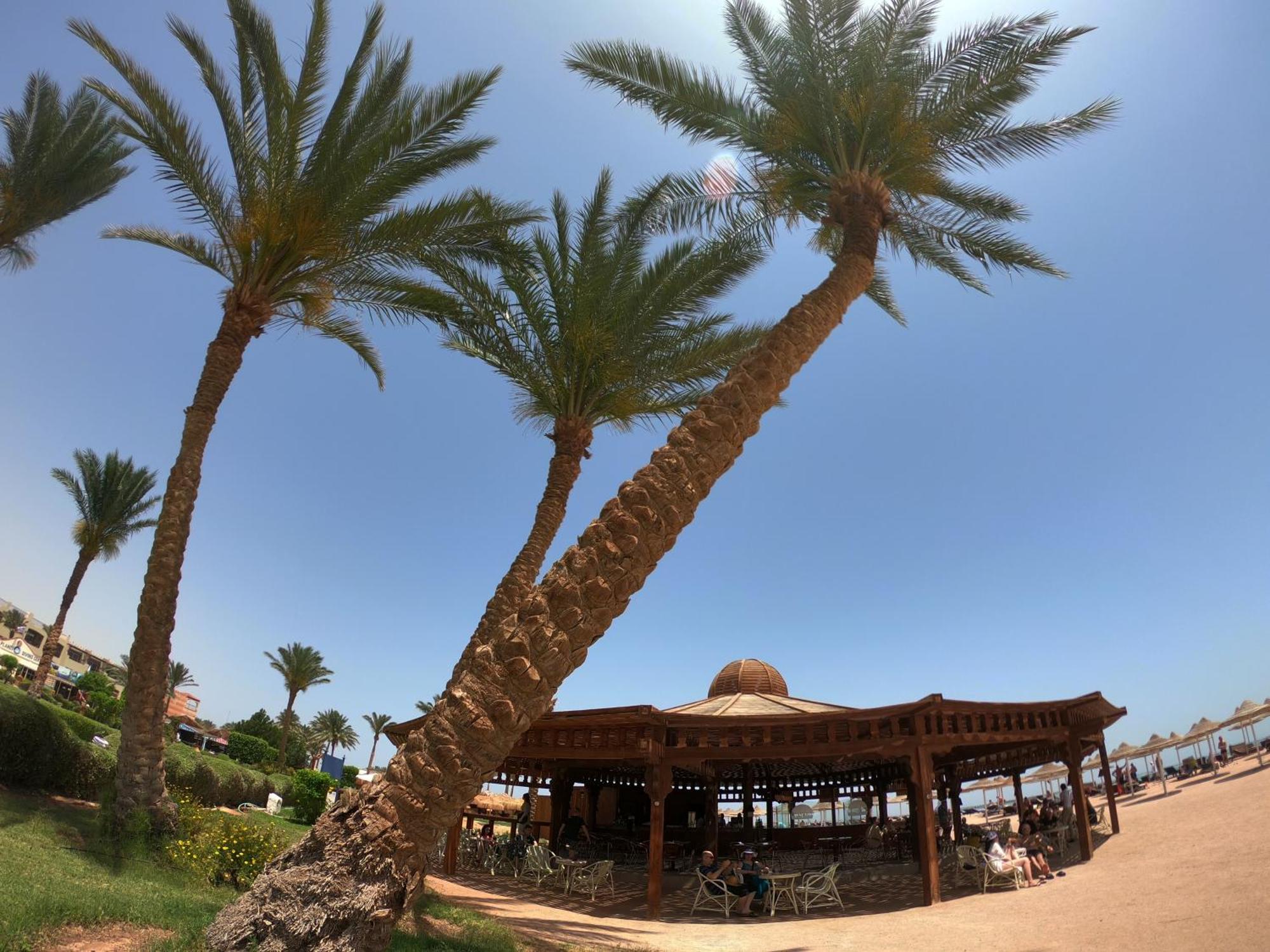 Regency Plaza Aqua Park And Resort 4*