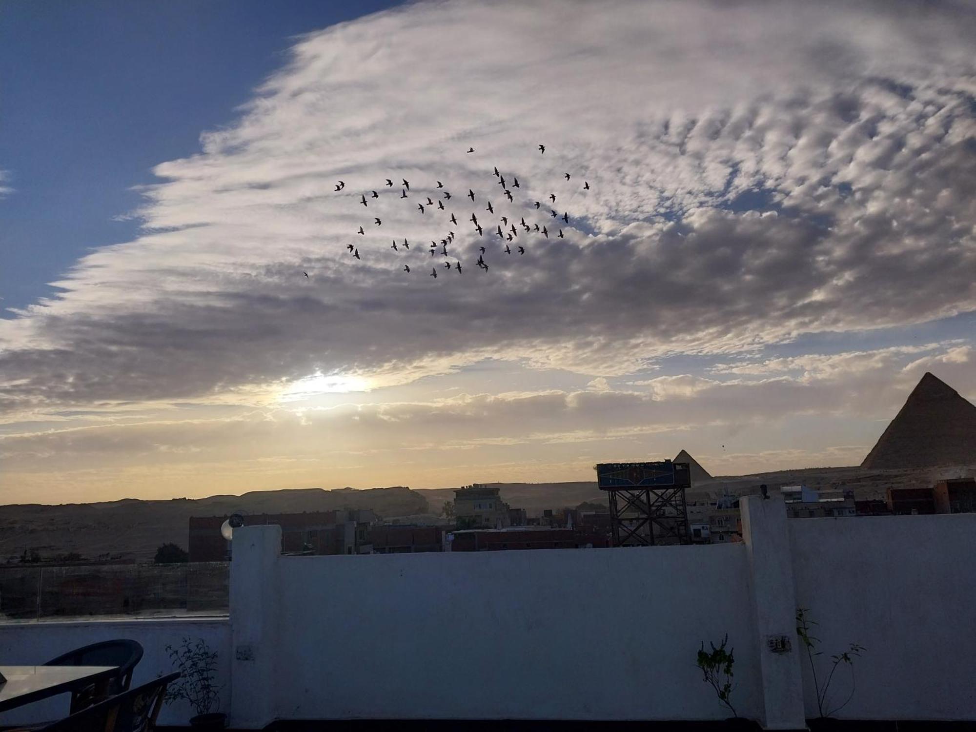 Eagles Pyramids View *