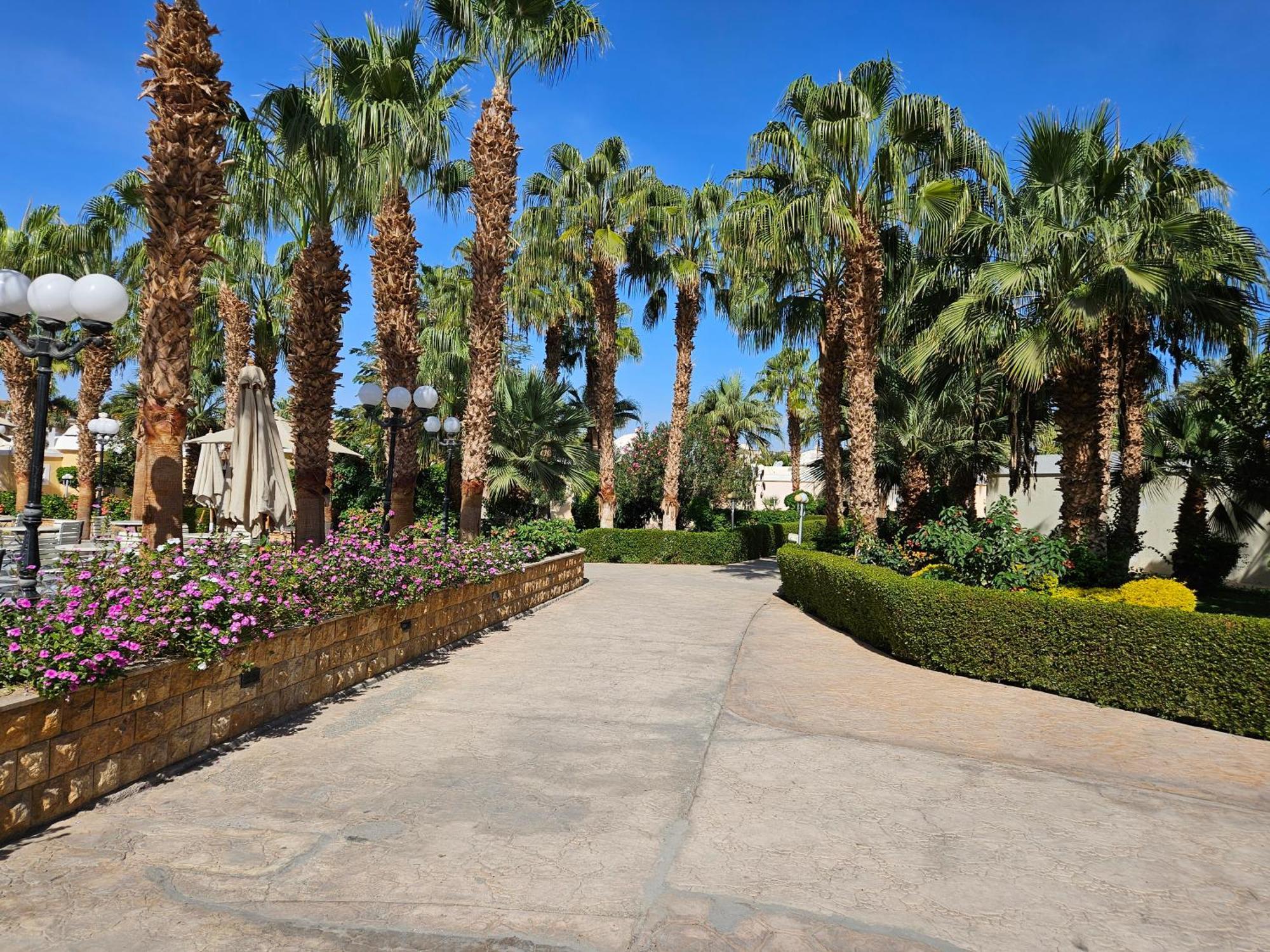 Apartamento Noura Luxury With Free Pool And Access In *