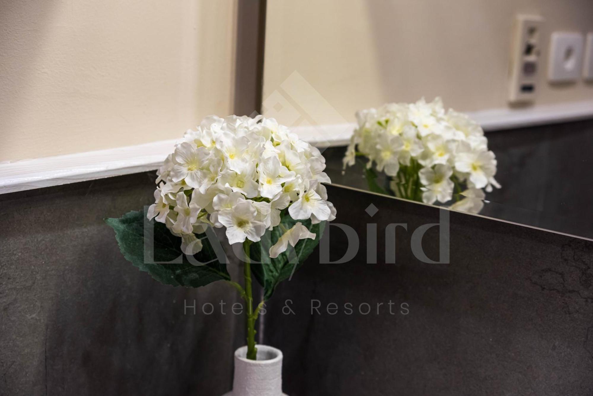Ladybird - Azzurra Beauty Hurghada