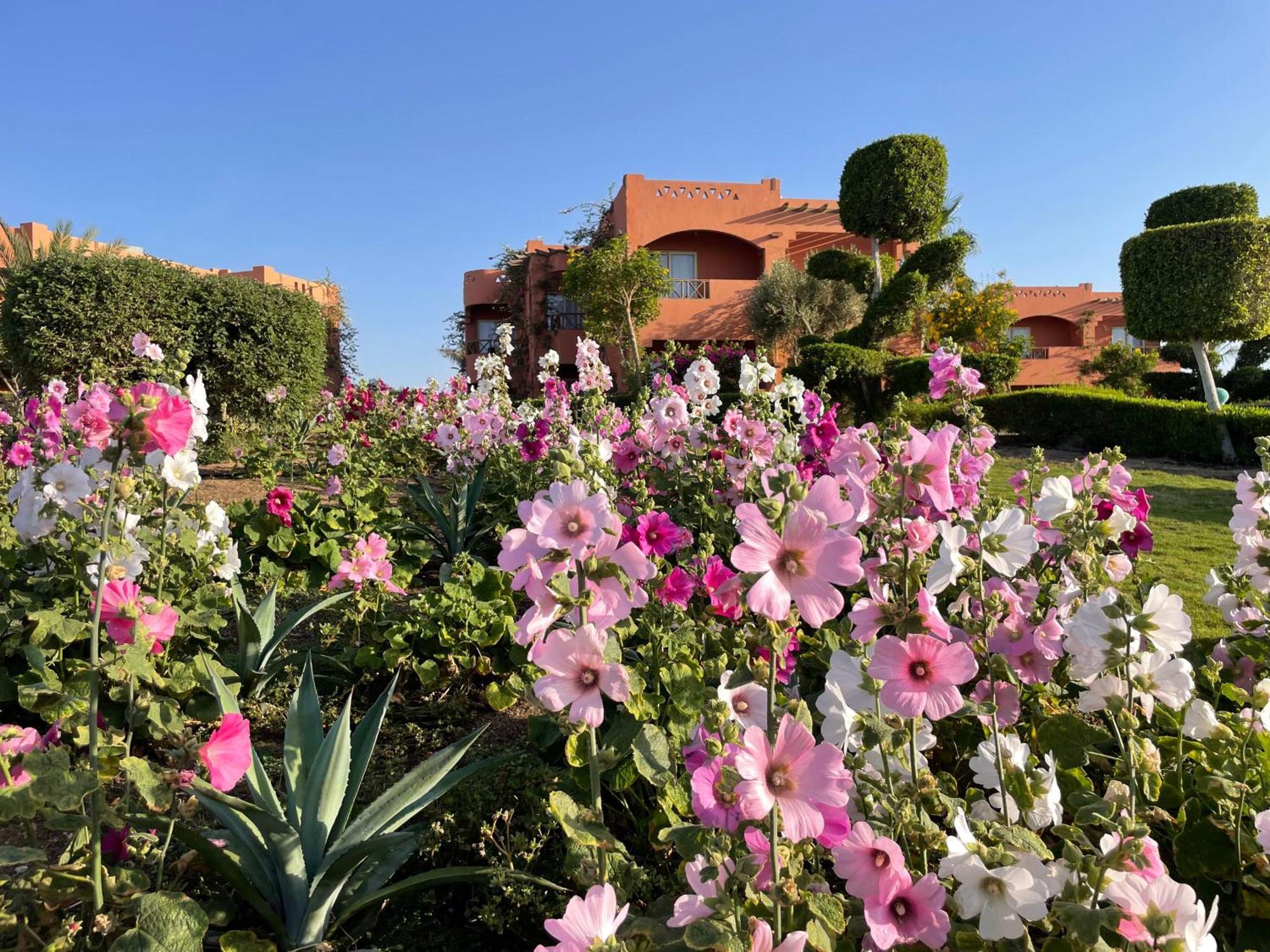 Hotel Soulotel Emerald & 4*