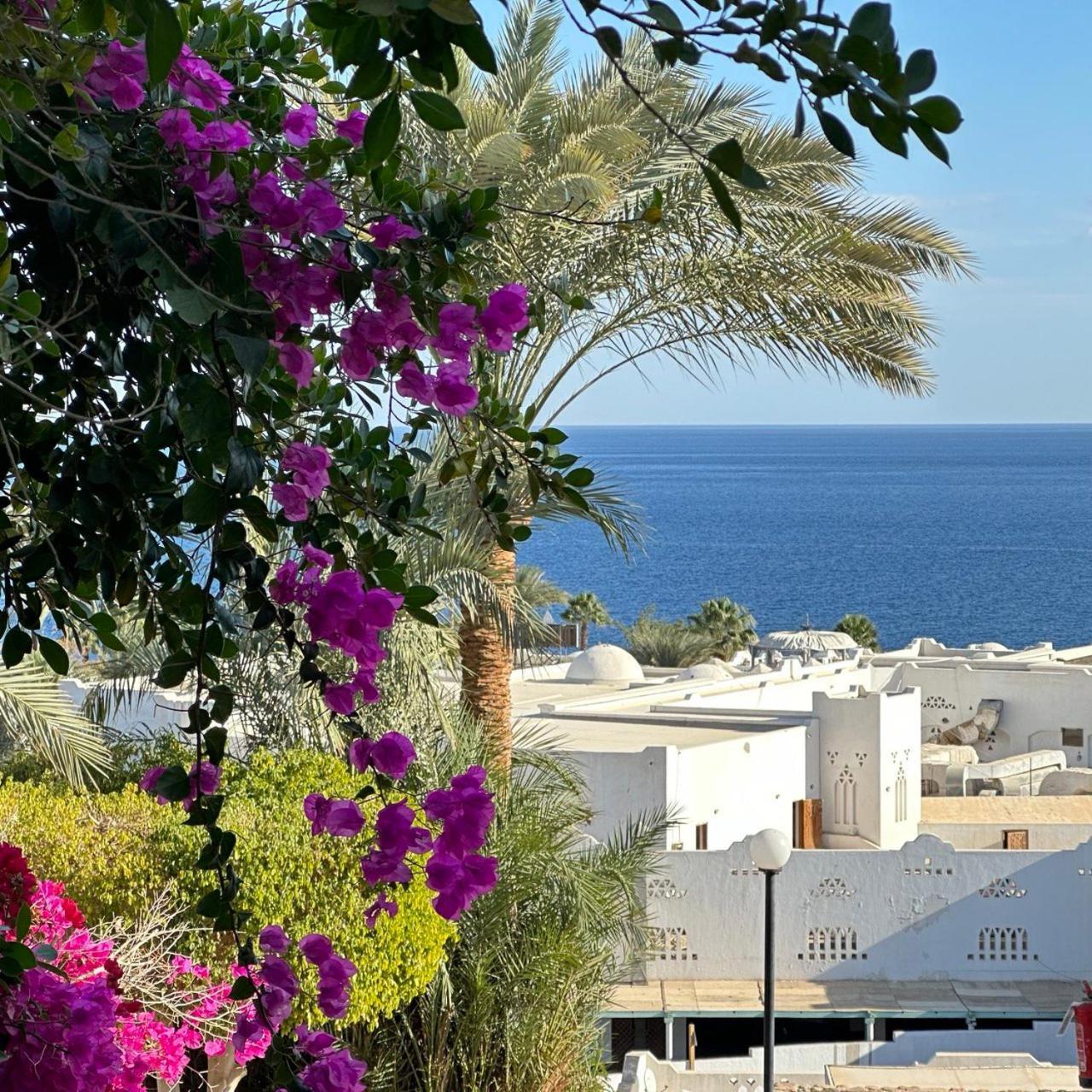 Privata Anita Con Balcone,aquamarine Al Domina Coral Bay, Resort, Diving, & Casino Apartamento *