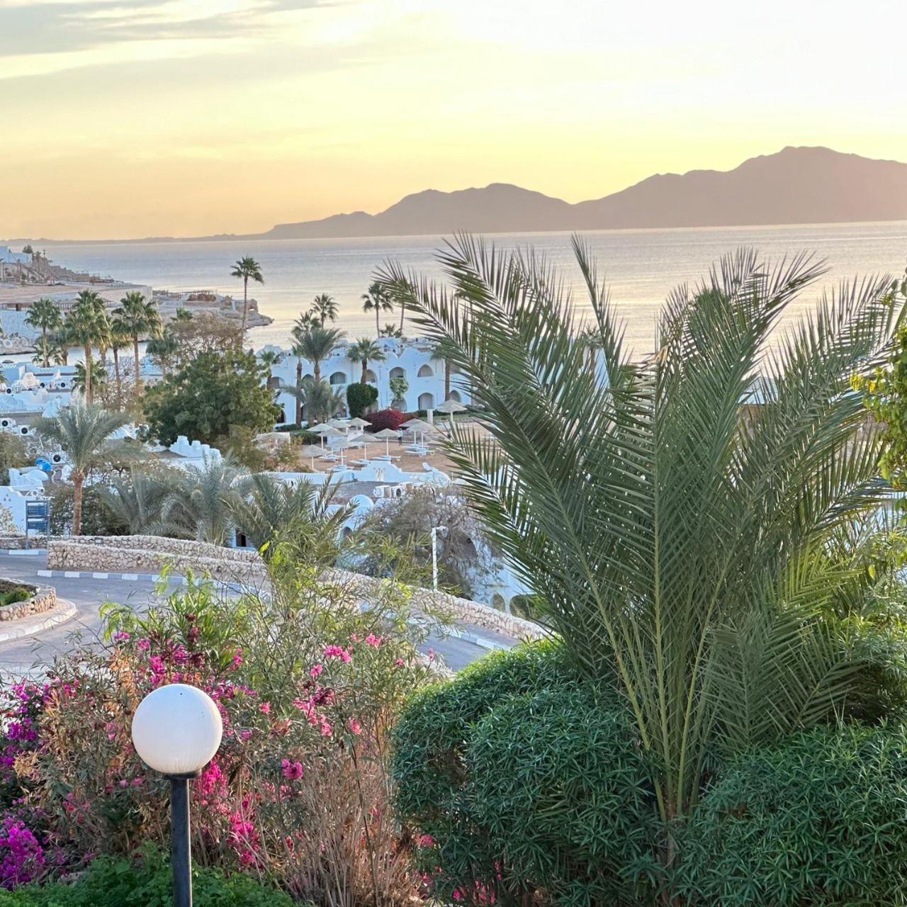 Privata Anita Con Balcone,aquamarine Al Domina Coral Bay, Resort, Diving, & Casino Sharm El Sheikk