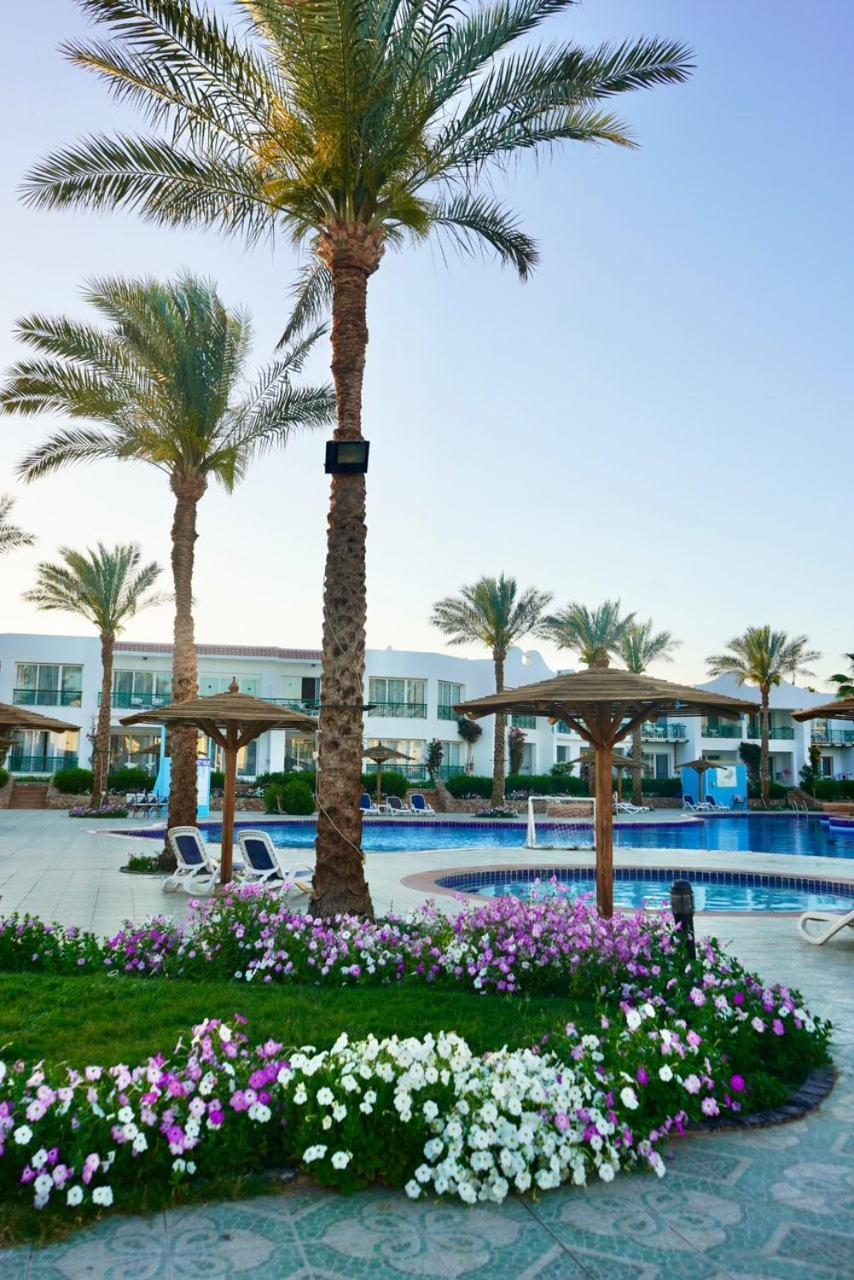 Panorama Naama Heights Resort