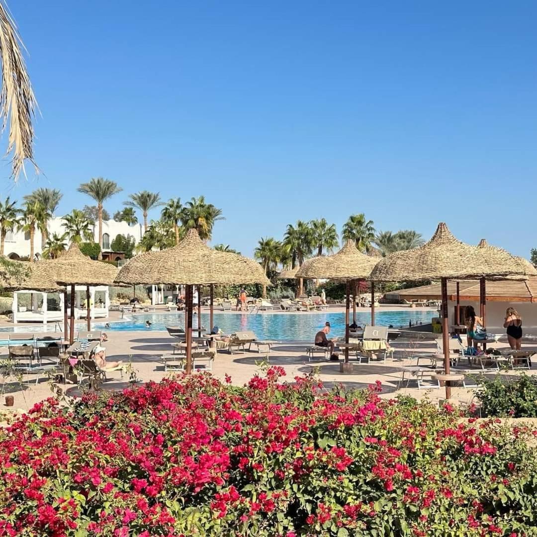 Privata Con Cucina Domina Coral Bay Apartament