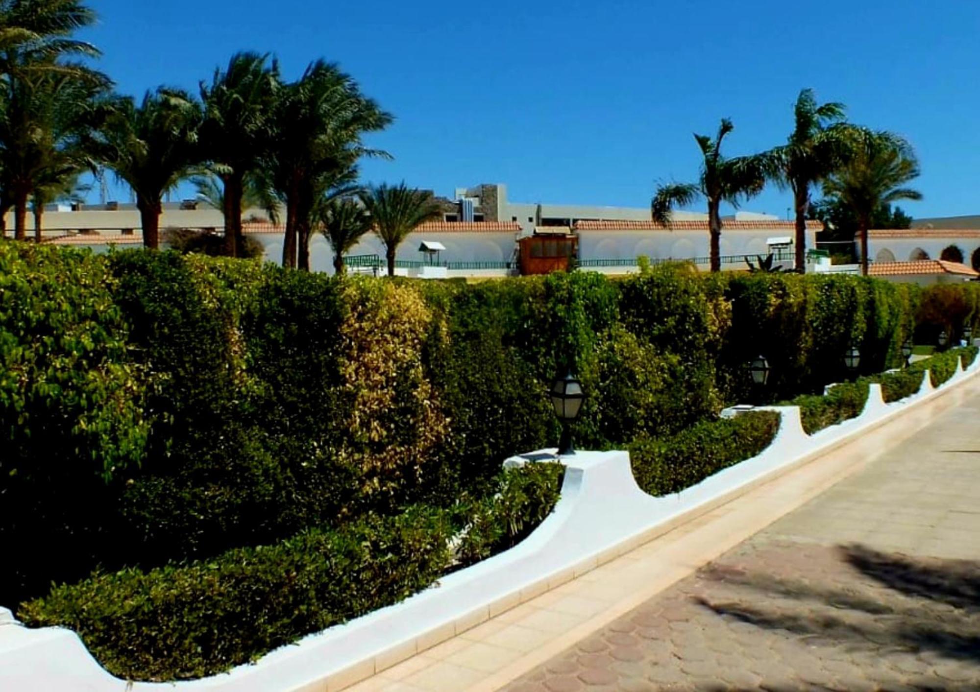 Hills Apartament *
