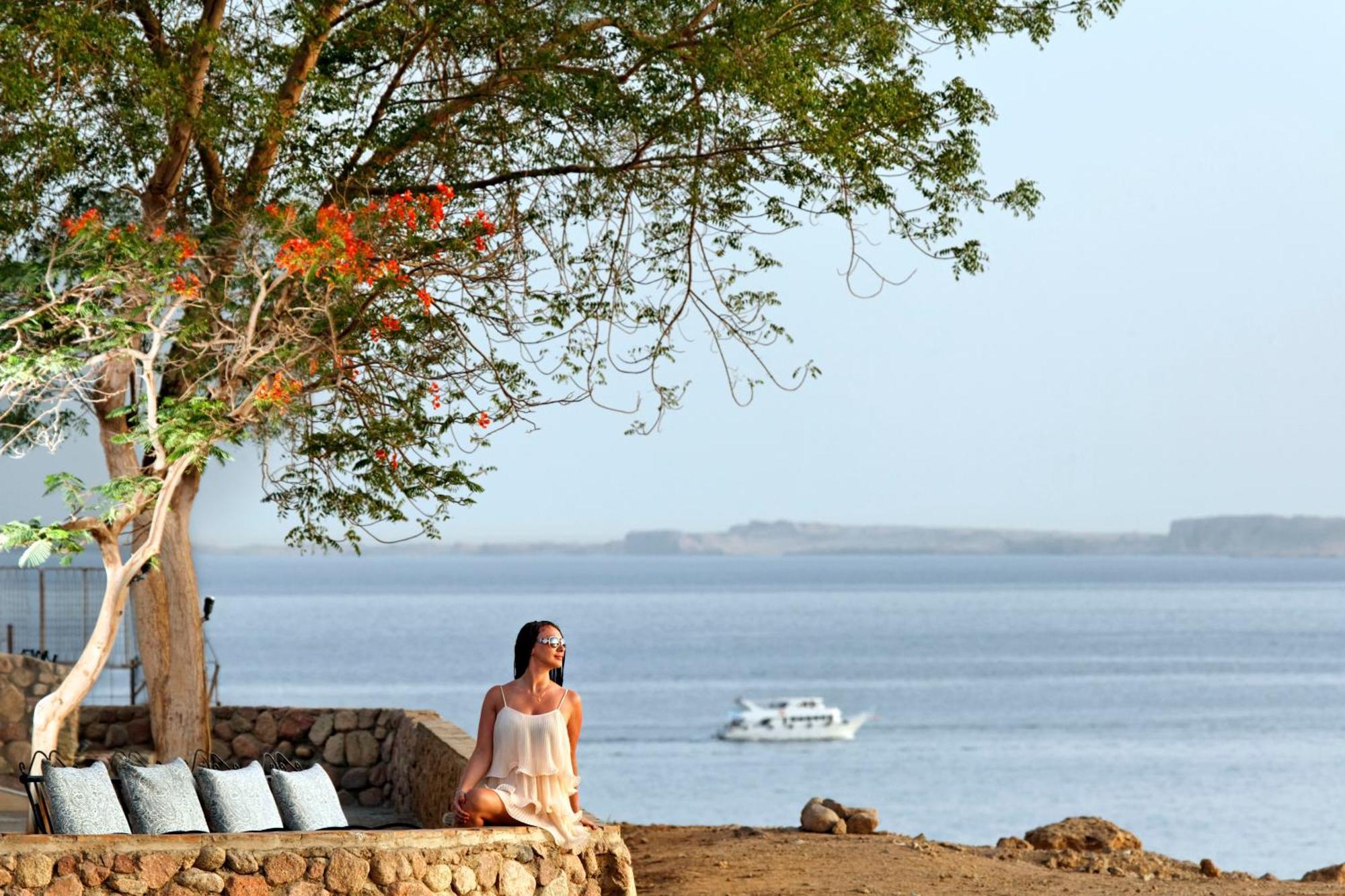 Albatros Sheikh 4*
