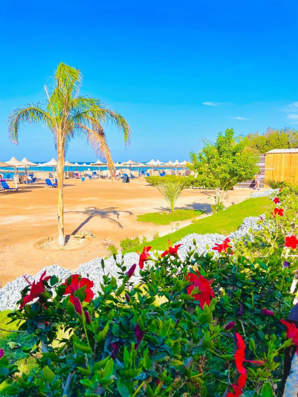 Apartment Luna Blu Sea View Hurghada