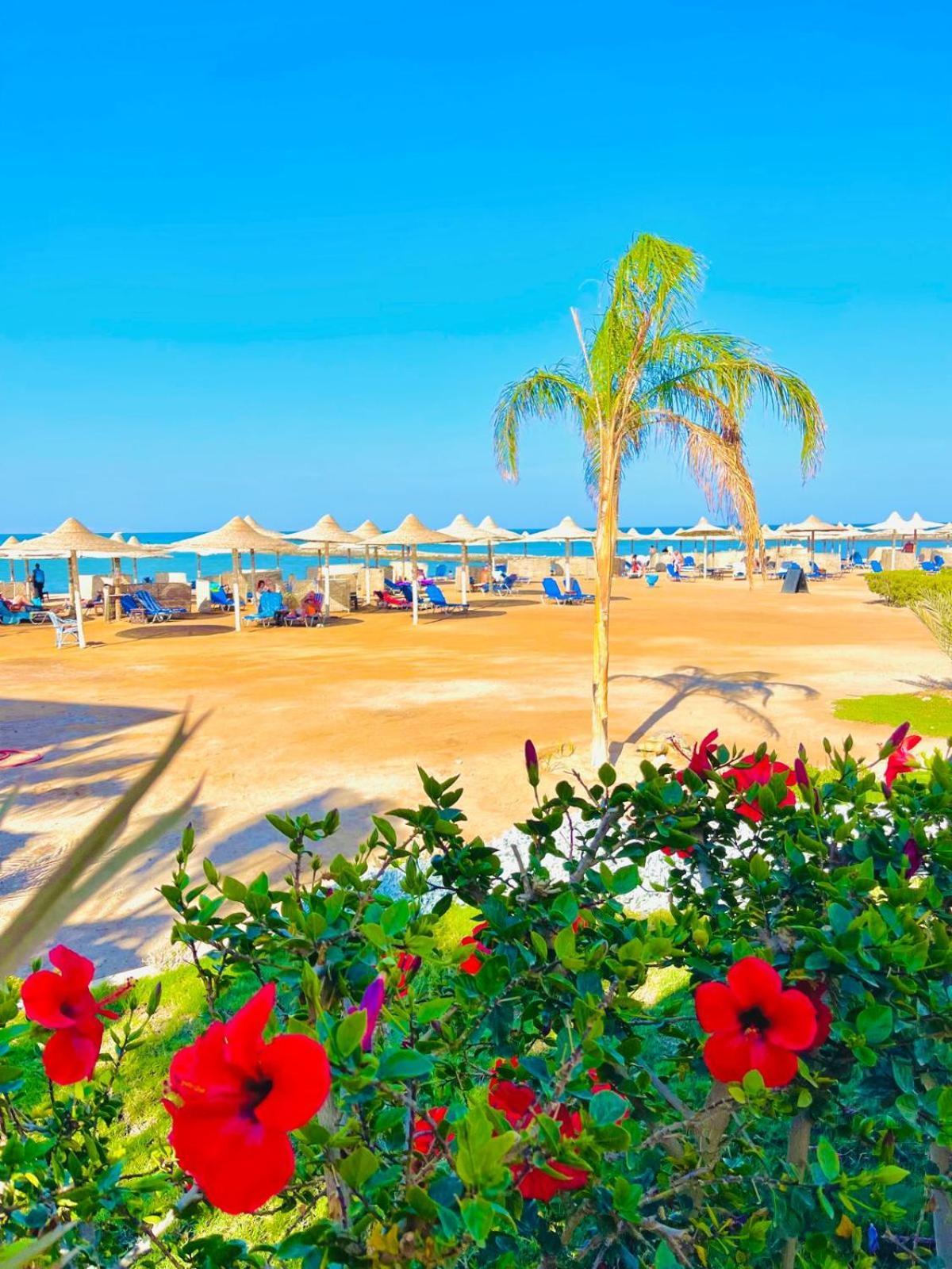 Apartment Luna Blu Sea View *