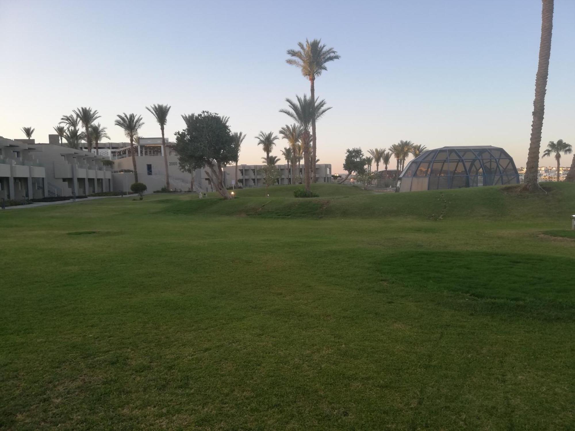 Nemo, Vista Mare, Sharks Bay, Sheikh *