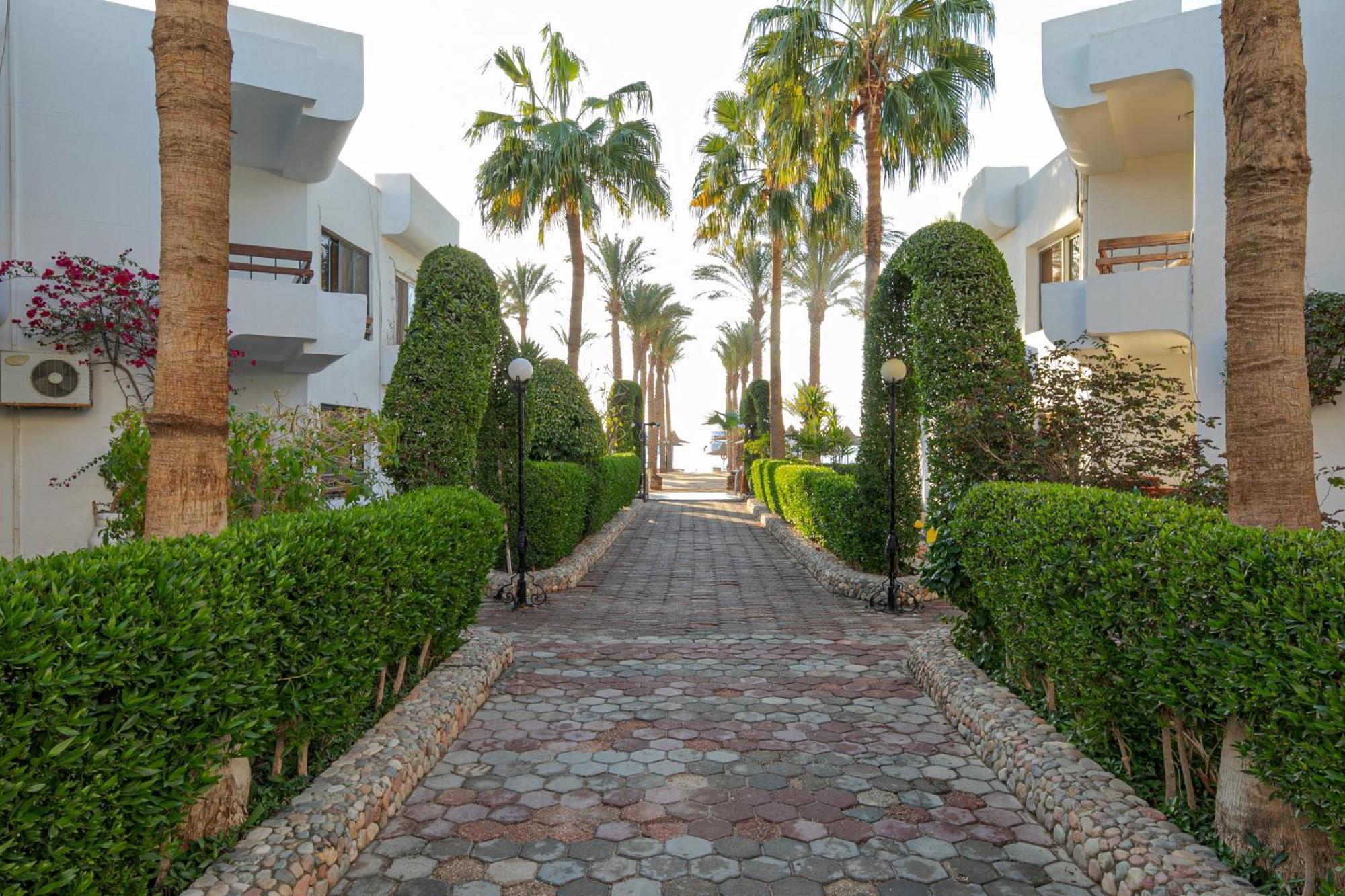Resort Marlin Azur Hurghada