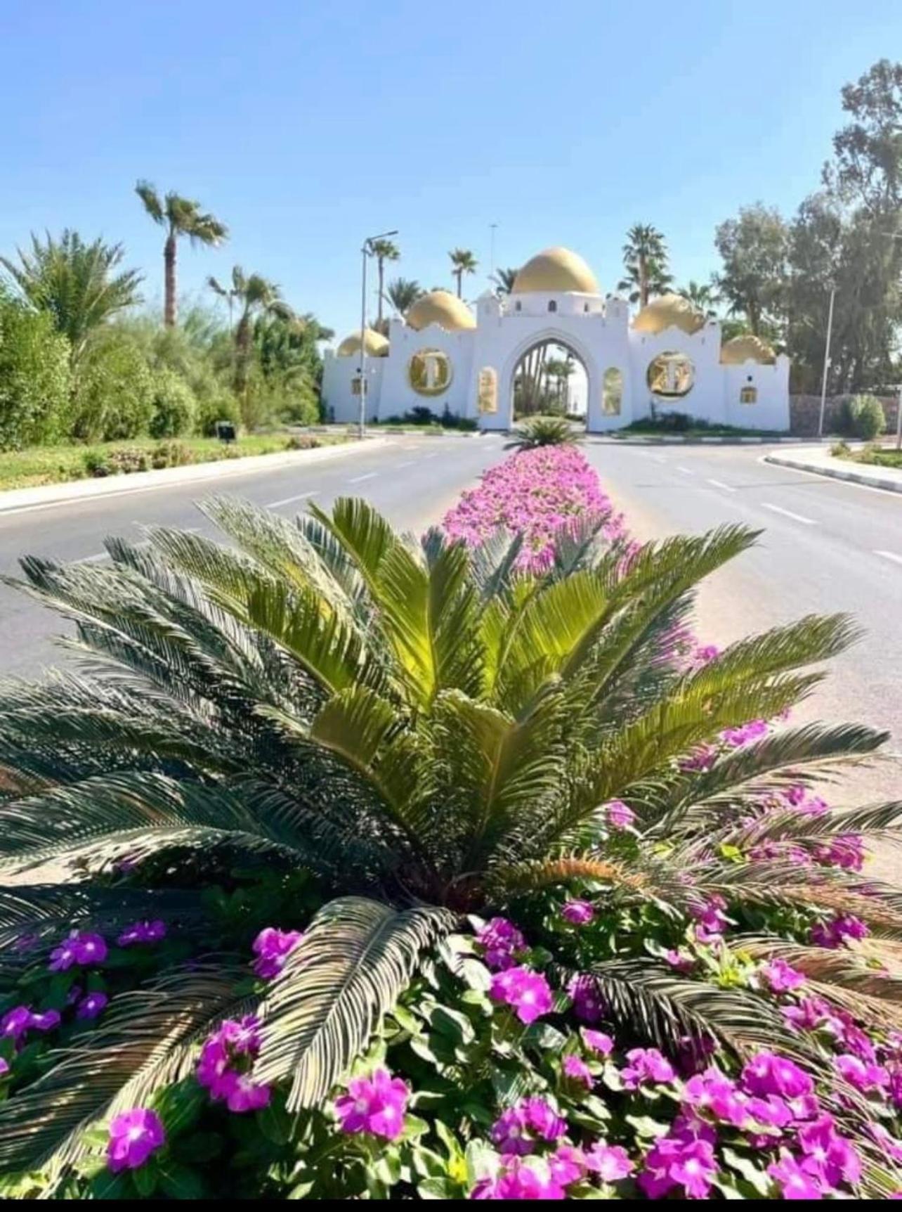 Resort Domina Coral Bay And Direct View 2 *