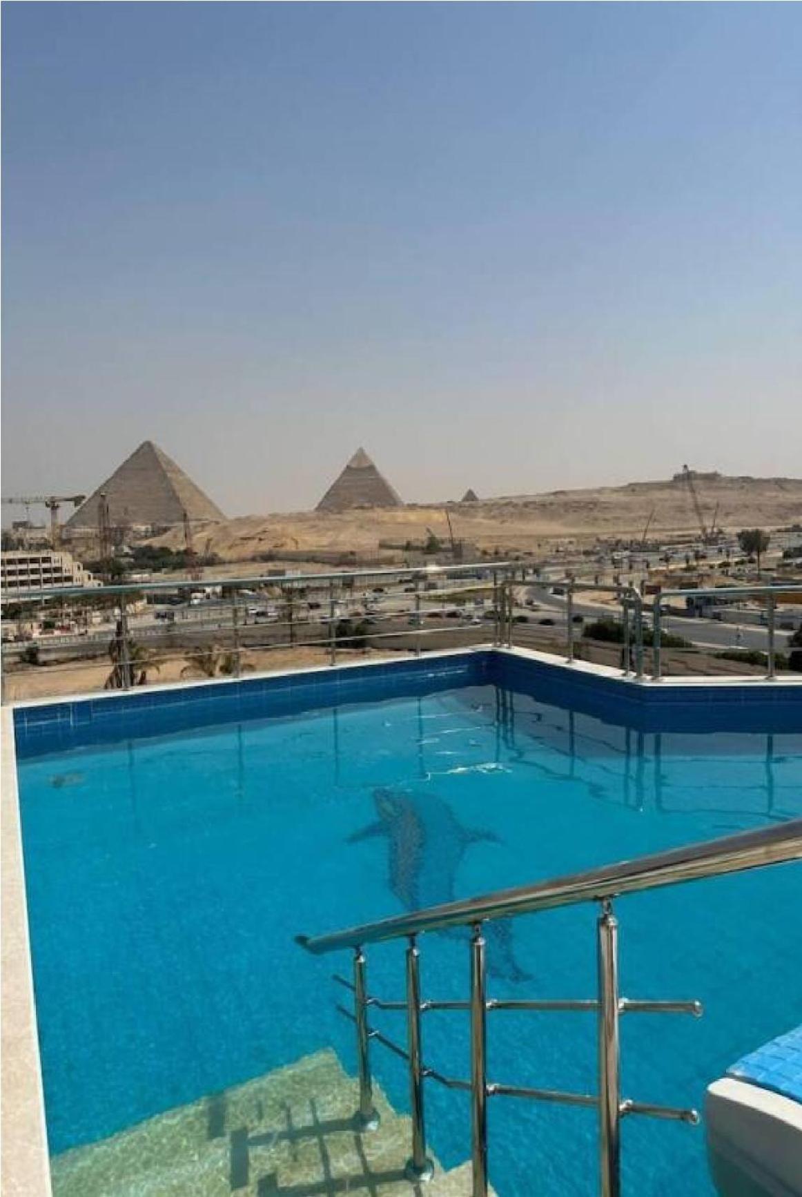 Hotel Al Fouad Pyramids View 3*