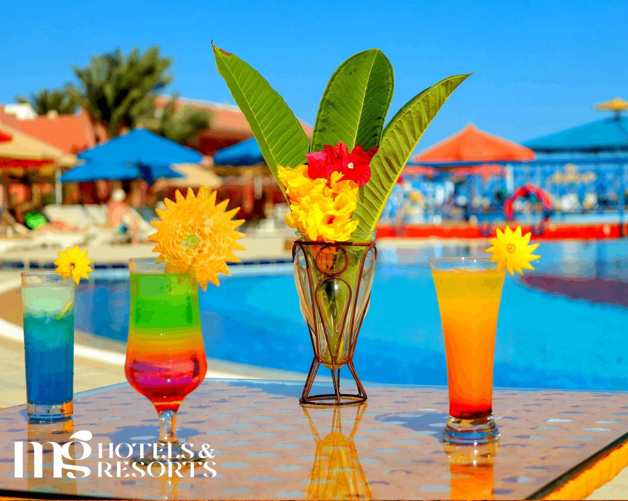 Hotel Mg Alexander The Great 4*
