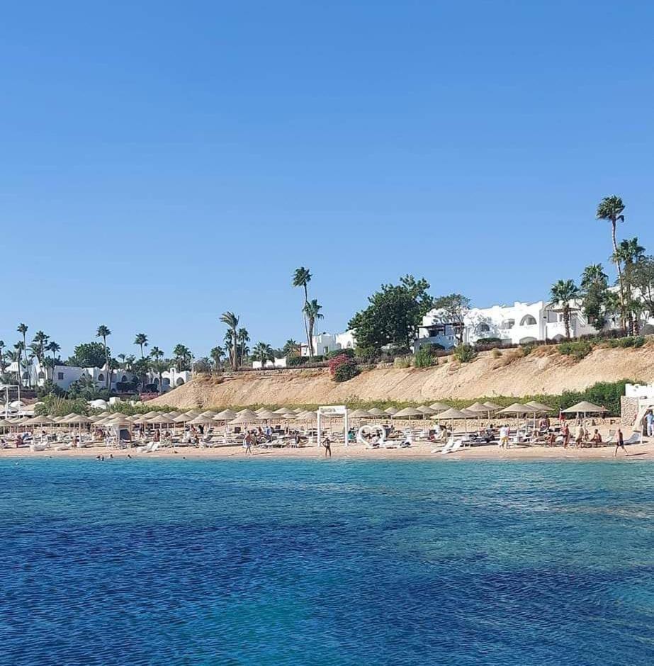 Domina Coral Bay Appartament Apartment