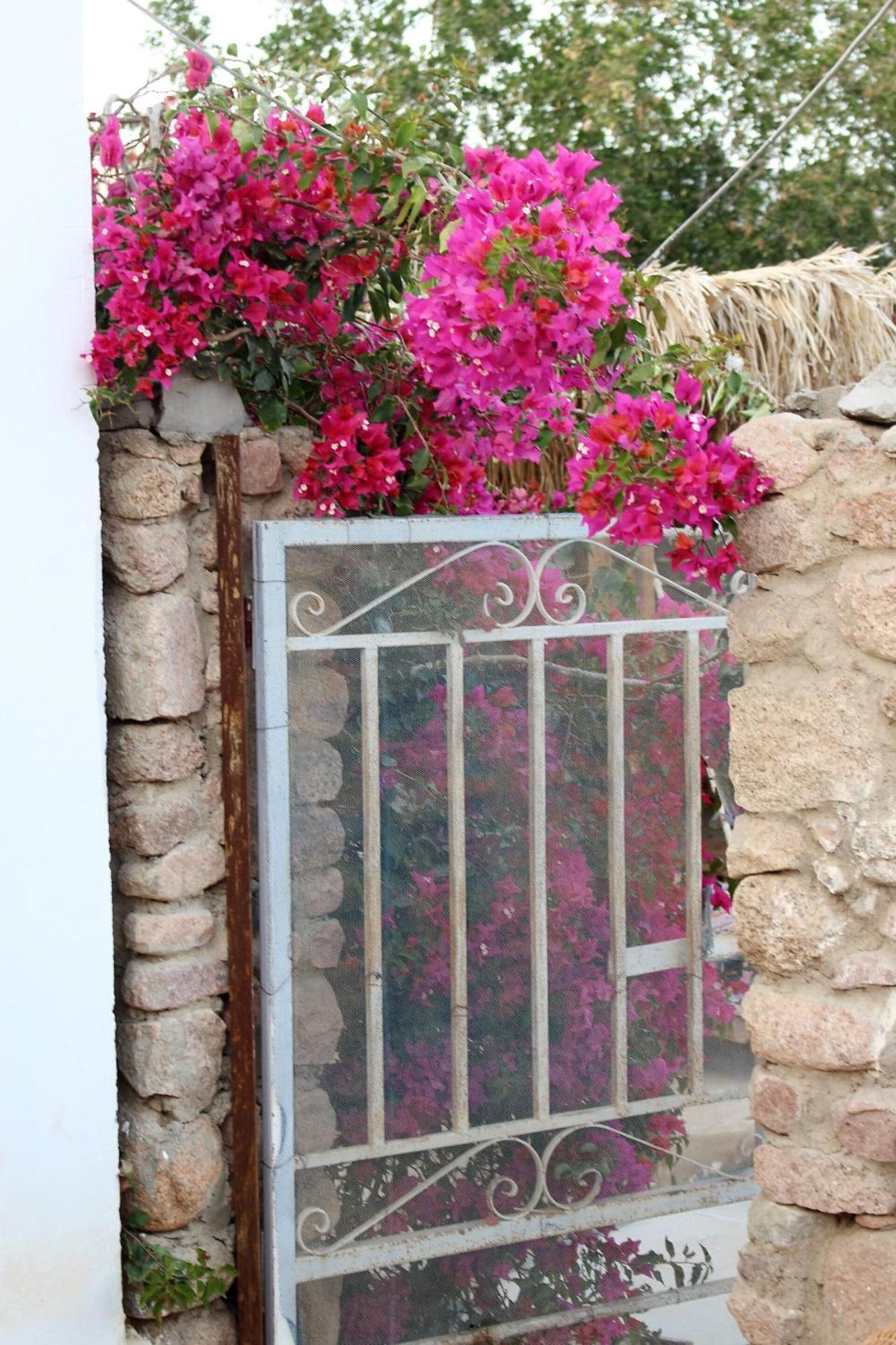 Sinai Old Spices B&B Sharm el-Sheikh