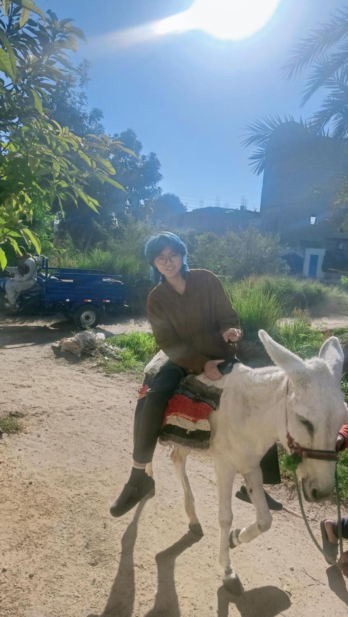 Guest house Dream Garden Luxor
