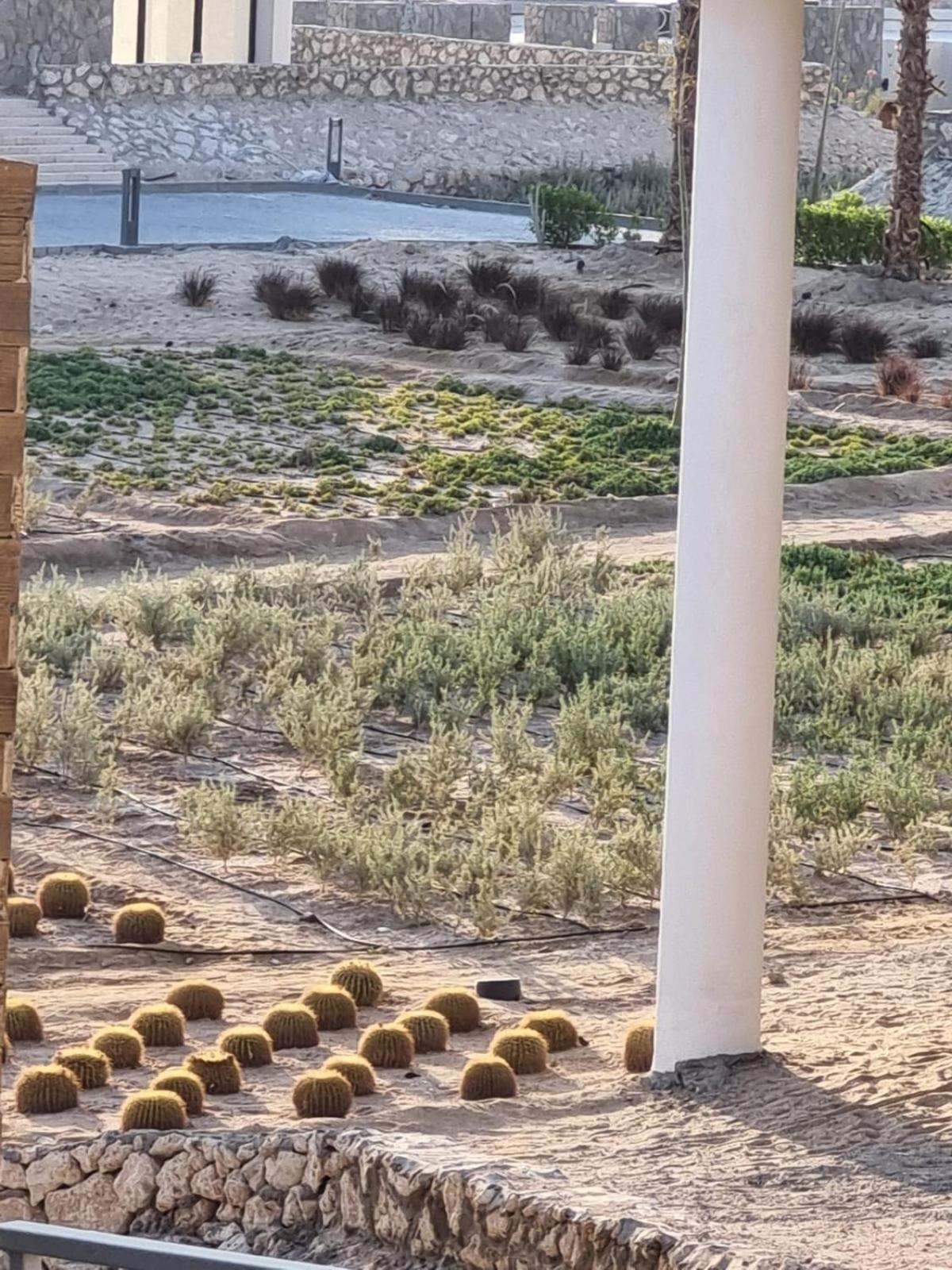 Holiday home Wadi Jebal For A Family With Pool And Access