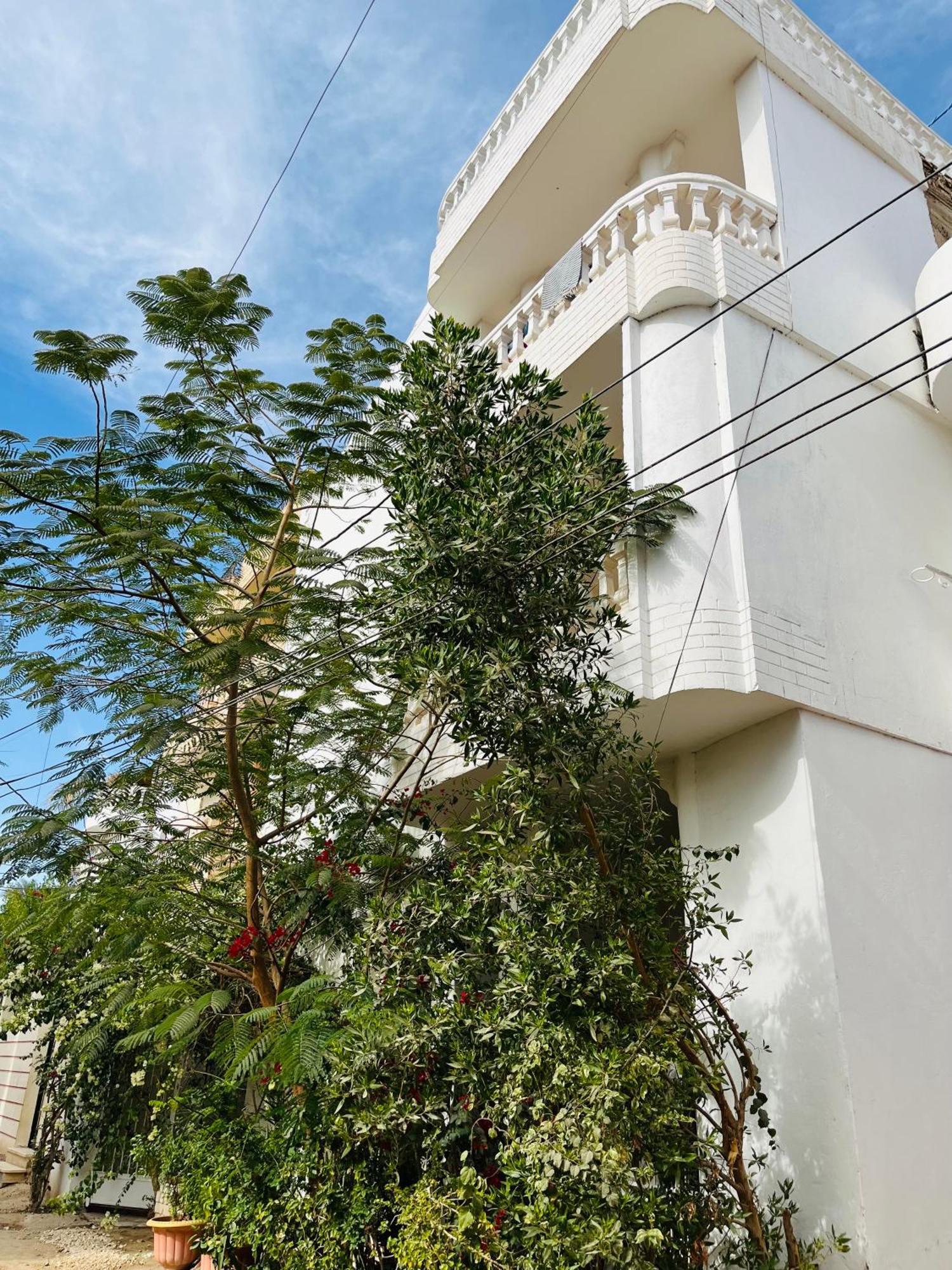 Roses House Ladies Only Apartment Luxor