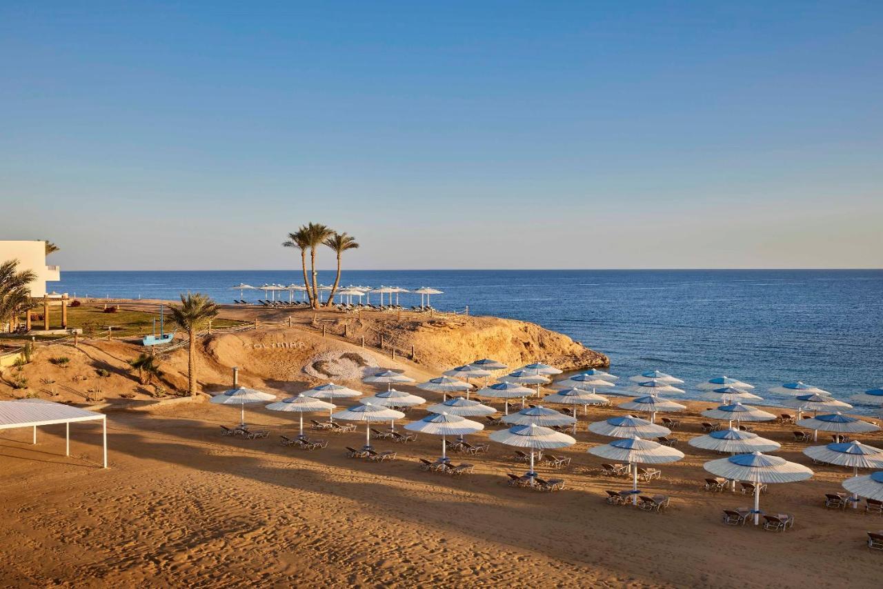Resort Jaz Neo Reef Marsa