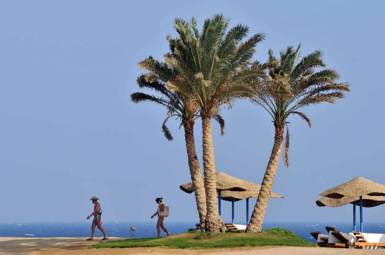 Jaz Neo Reef Marsa Resort Coraya Bay