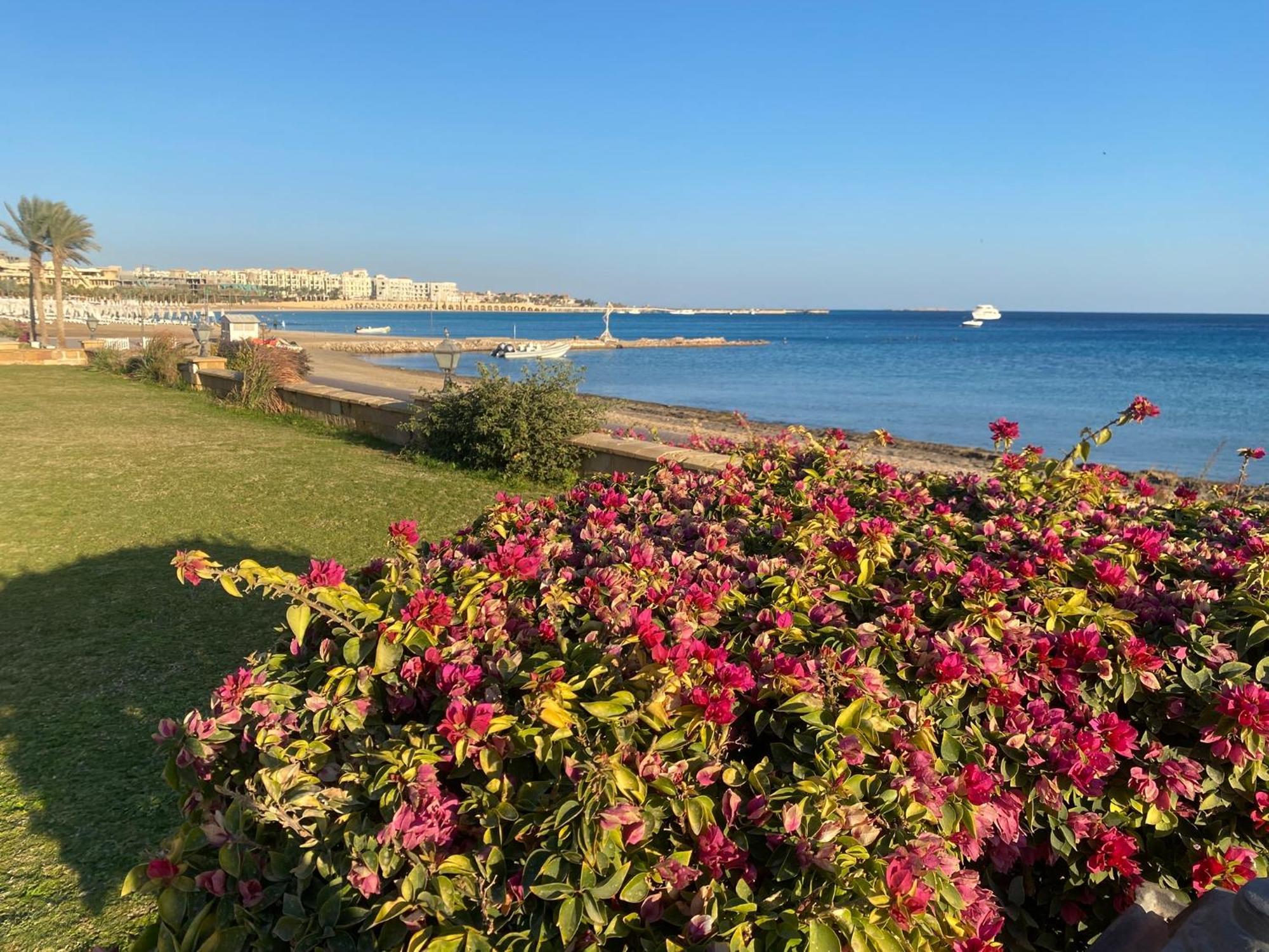 Cozy In Azzurra Sahl Hasheesh 65 Sq M