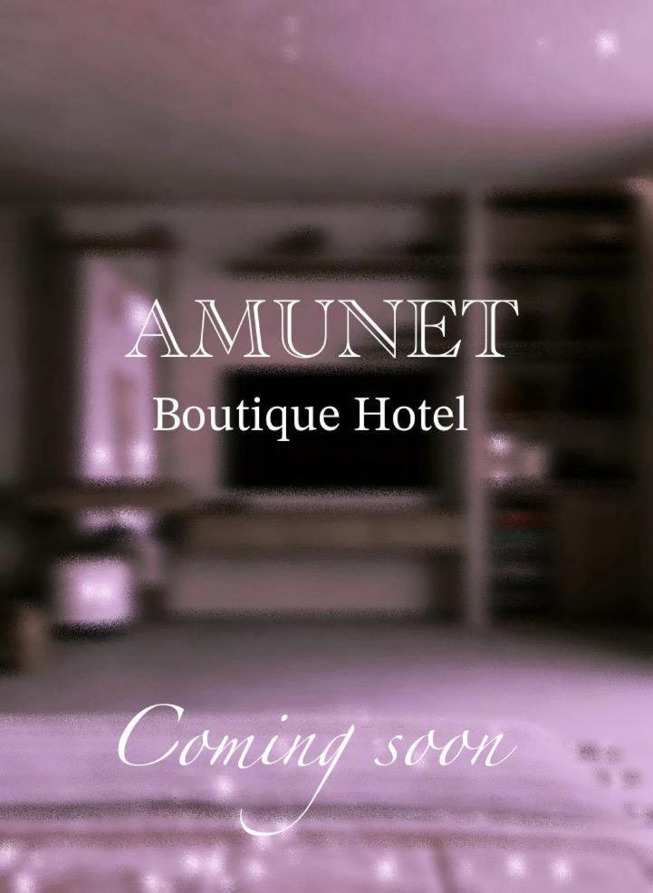 Hotel Amunet Pyramids View Boutique 4*