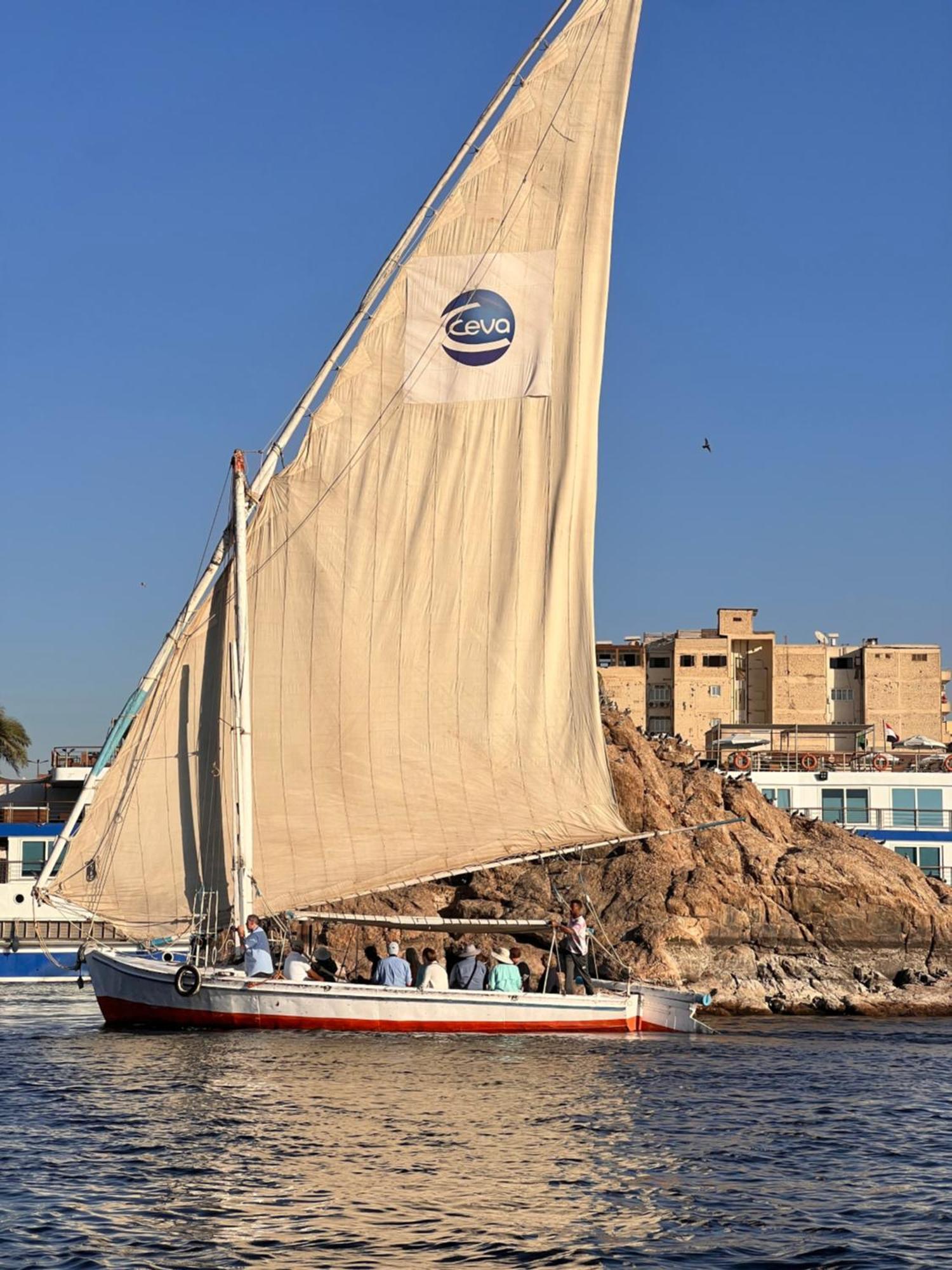 Hotel Egypt Pyramids Cairo