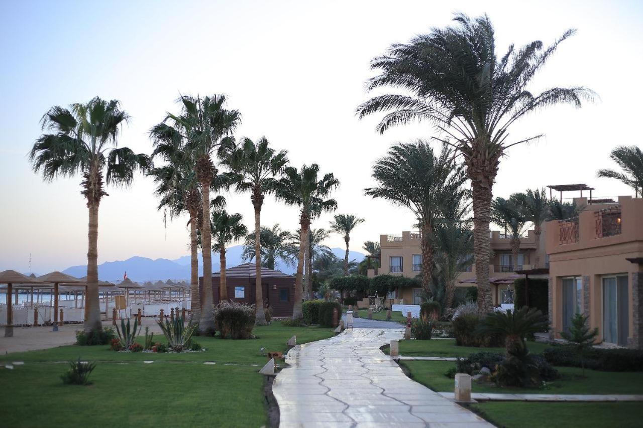 Resort Shams Prestige Abu Soma (adults Only) Hurghada