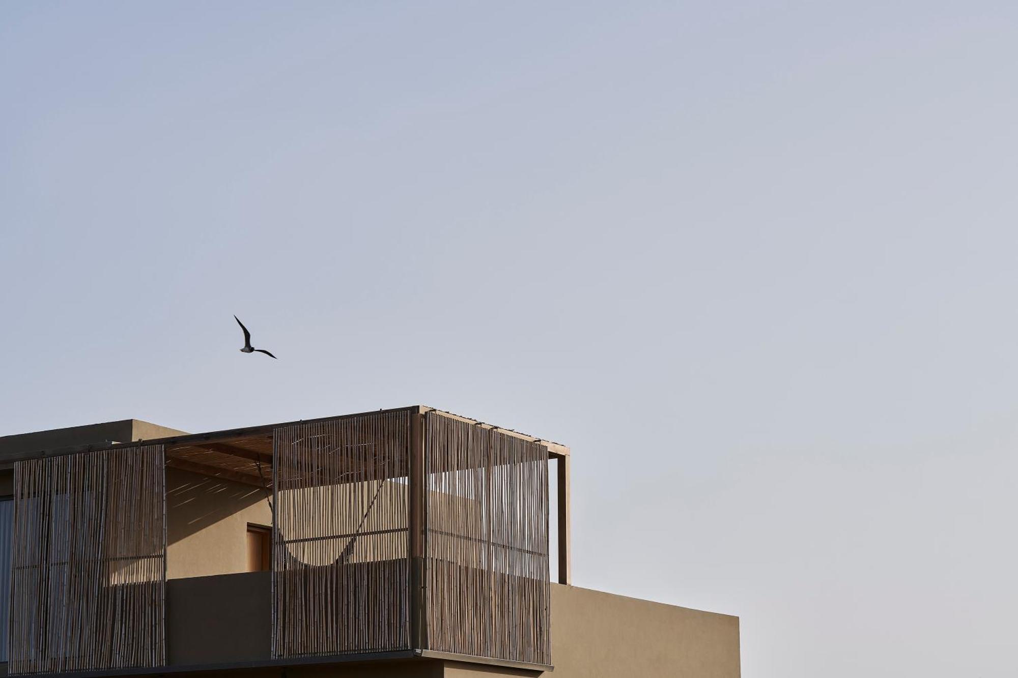 Casa Cook - Adults Only 5* El Gouna