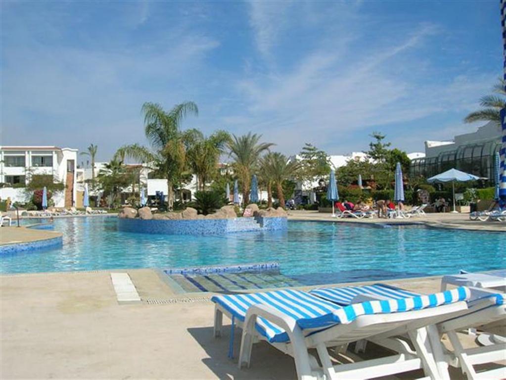 Holiday Service College & Diving