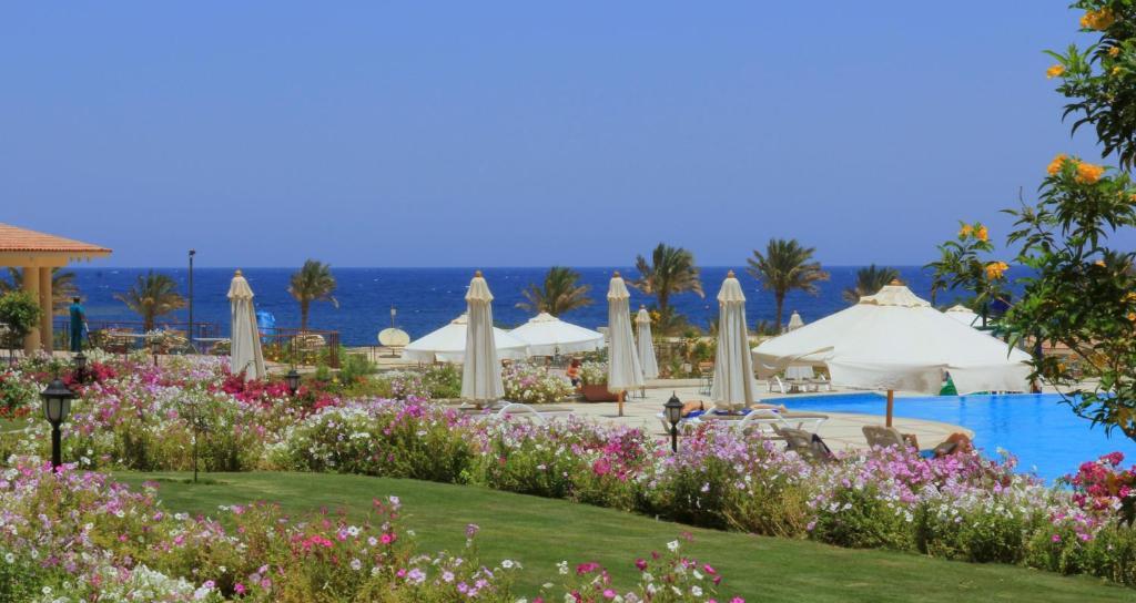 Royal Brayka Resort