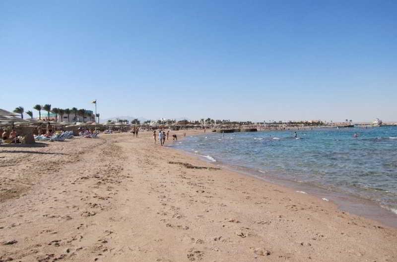 Golden 5 Emerald Sahl Hasheesh