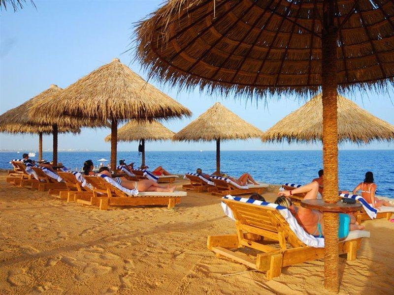 At Shores Amphoras 5*
