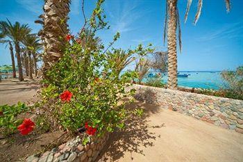 Smartline Colour Beach Hurghada