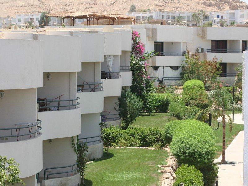 Viking Club Sheikh Complex 4*