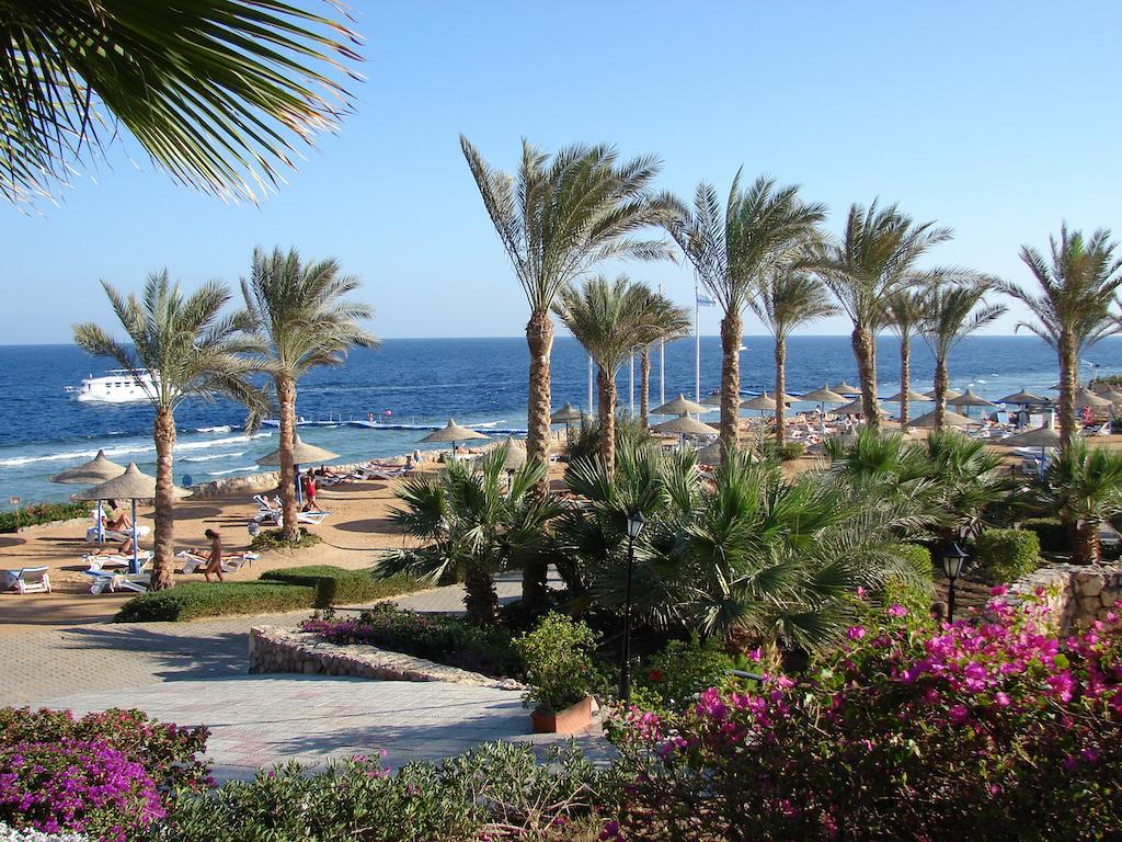 Resort Queen View