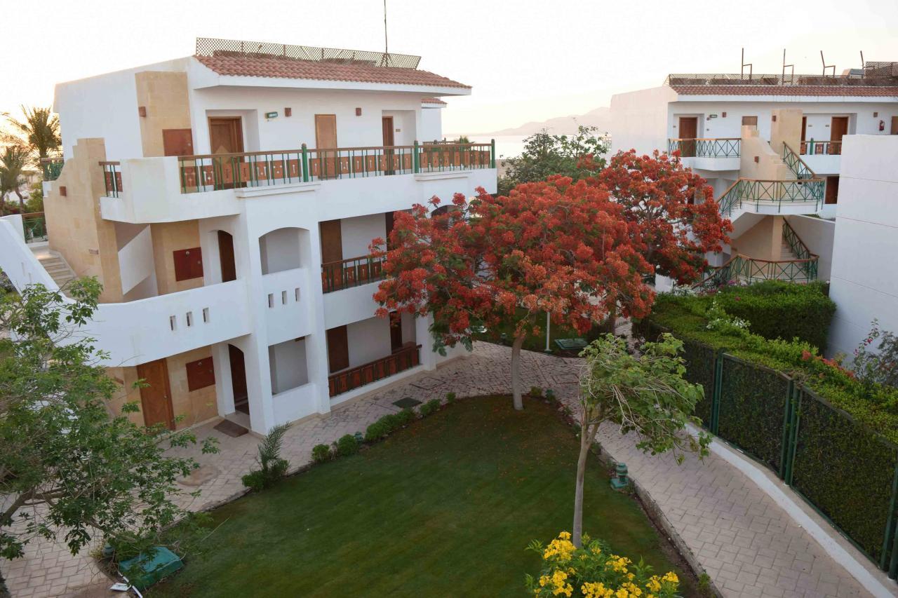 Hotel Ivy Cyrene Island (adults Only) Sharm El-Sheikh