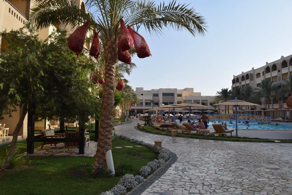 Comfortable In Karma With Private And Pools Family Only Or Female Apartament Hurghada