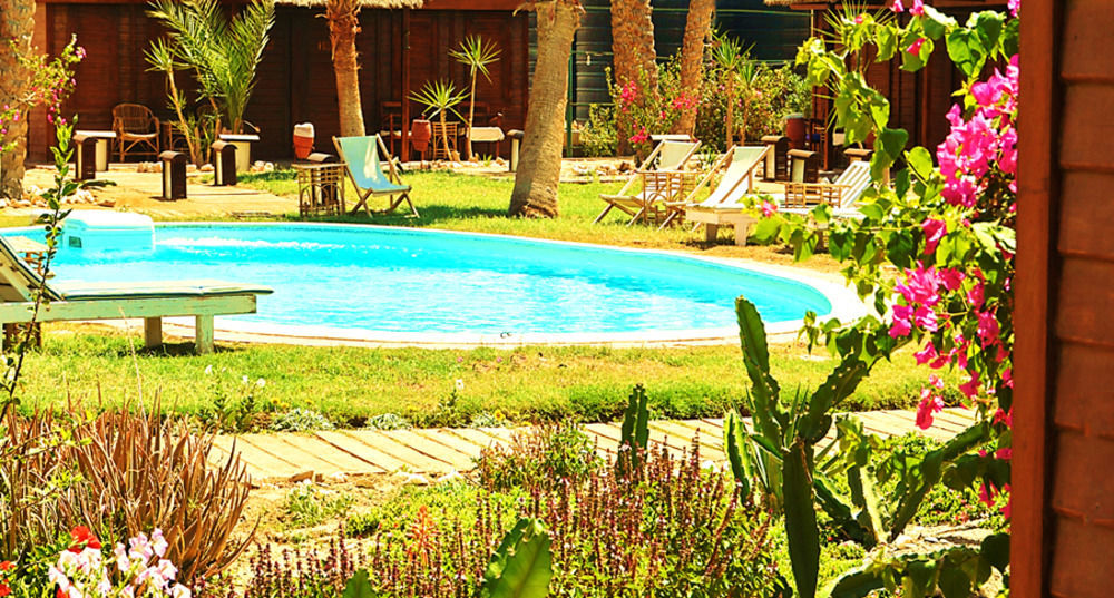 Abu Dabab Diving Marsa Alam