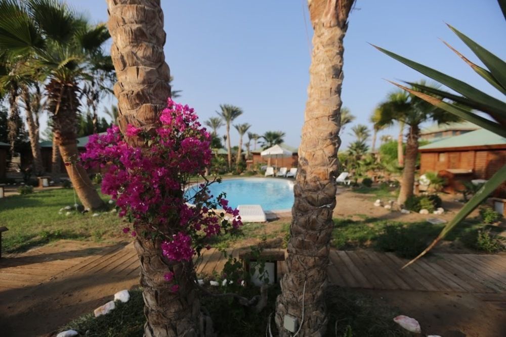Abu Dabab Diving 3*