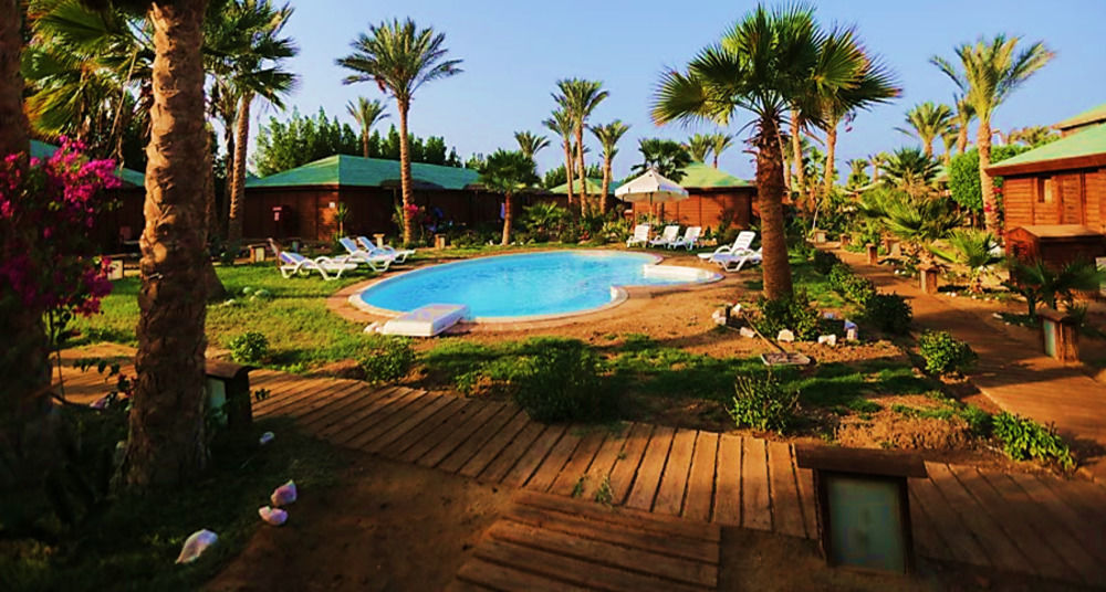 Abu Dabab Diving Marsa Alam