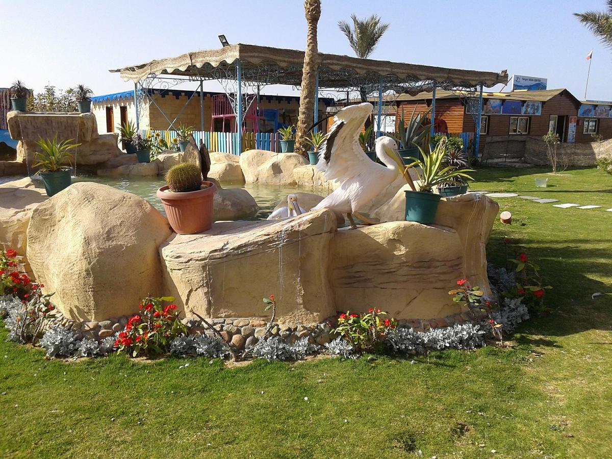 Hawaii Riviera Club Aqua Park - Families And Couples Only Hurghada