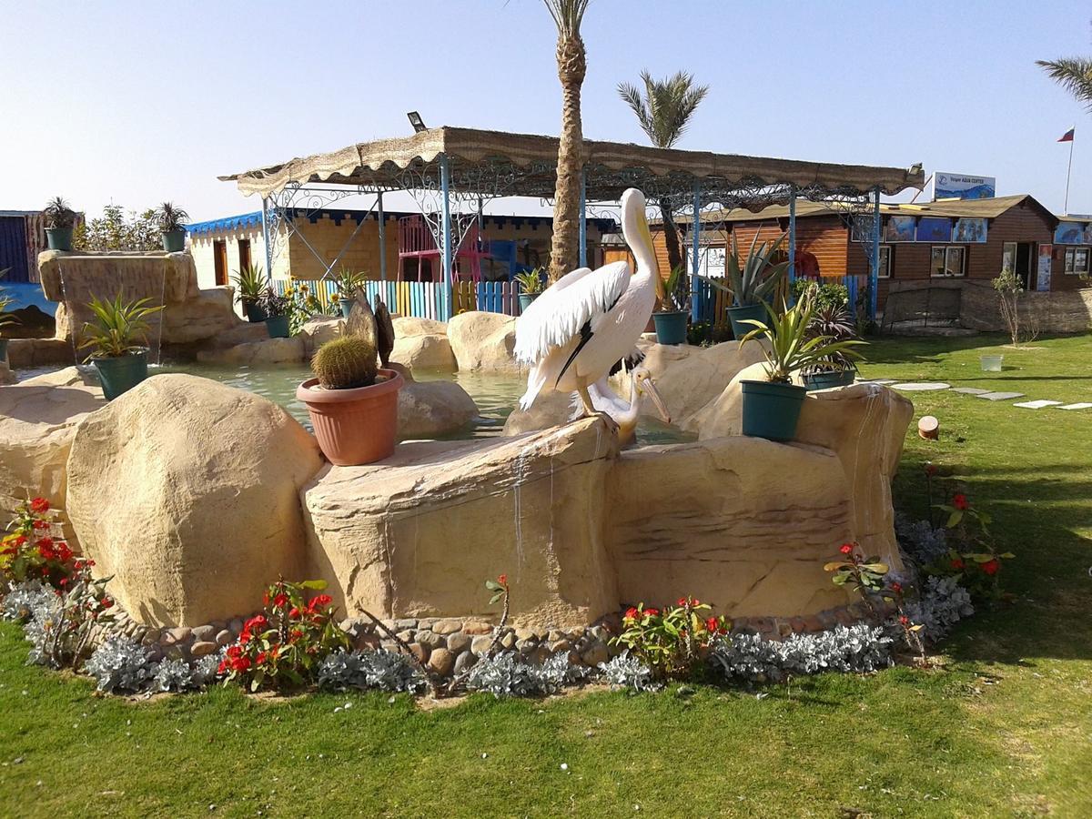 Resort Hawaii Riviera Club Aqua Park - Families And Couples Only
