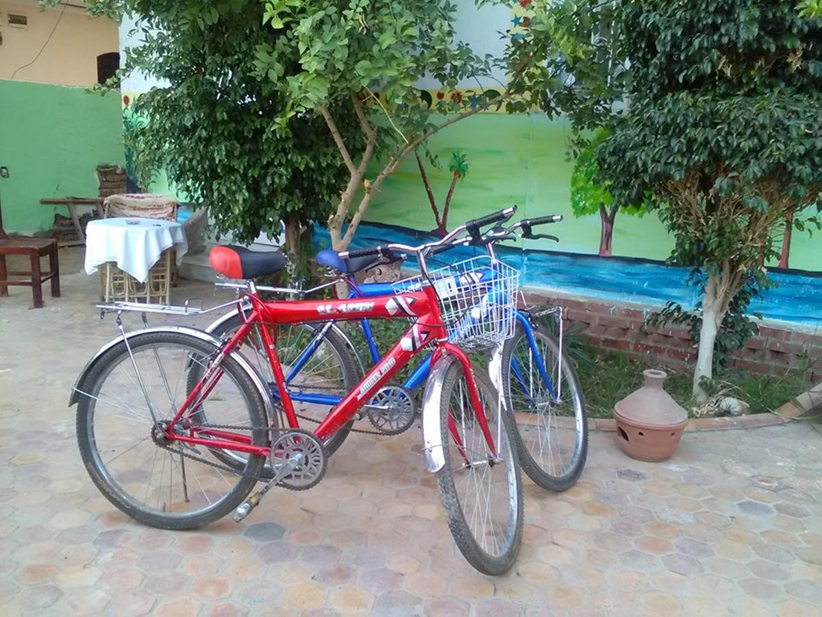 Luxor Guest House *