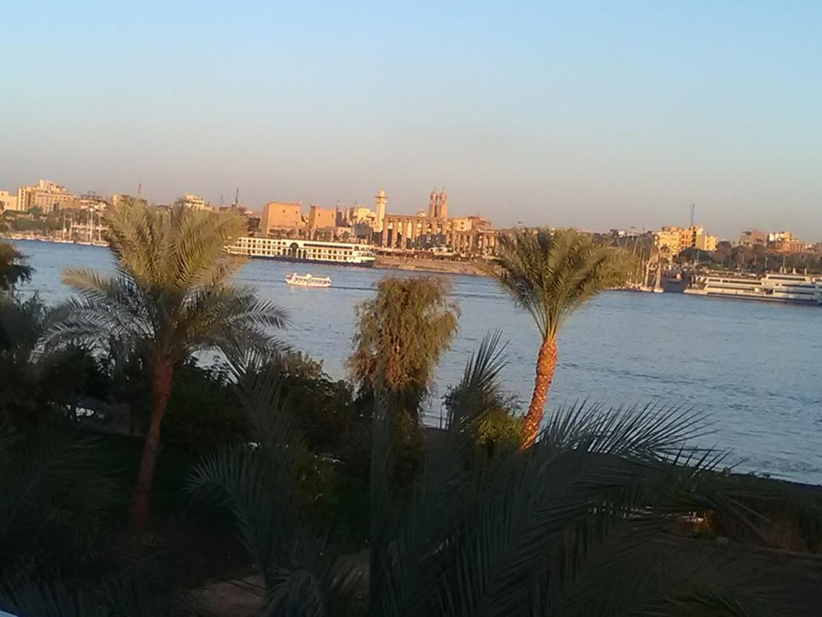 Luxor Guest House Apartment *