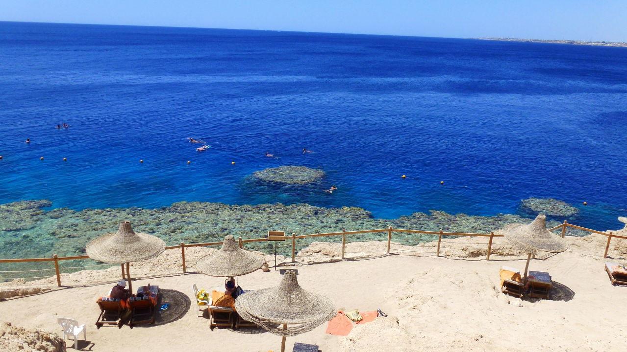 Hotel Grand Halomy 3*